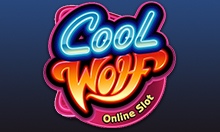 Cool Wolf