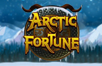 Arctic Fortune