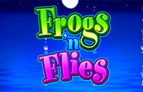 Frogs ‘n Flies