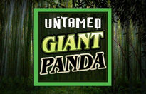 Untamed Giant Panda