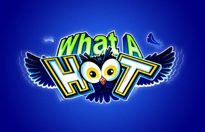 What A Hoot
