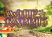 White Rabbit