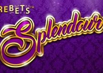 Rebets Splendour