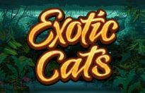 Exotic Cats