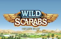 Wild Scarabs