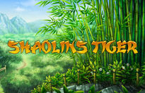 Shaolin’s Tiger
