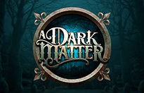 A dark matter