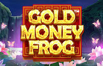 Gold Money Frog