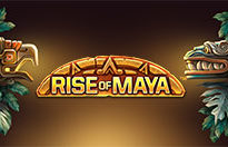 Rise of Maya