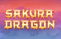 Sakura Dragon