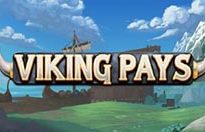 Viking Pay