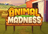 Animal Madness