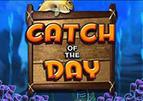 Catch of the Day