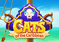 Cats of the Caribbean