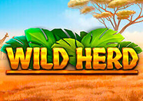 Wild Herd