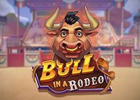 Bull in a Rodeo