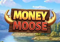 Money Moose