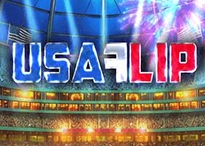 USA Flip
