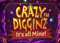 Crazy Digginz™ – It’s all Mine!