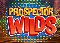 Prospector Wilds