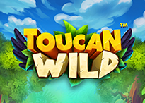 Toucan Wild