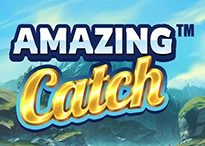 Amazing Catch