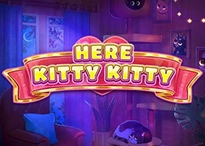 Here Kitty Kitty