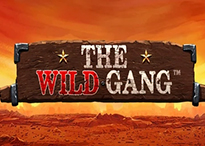 The Wild Gang
