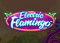Electric Flamingo