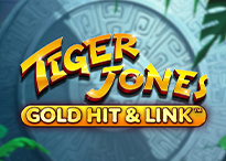 Gold Hit & Link Tiger Jones
