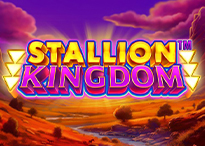 Stallion Kingdom