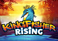kingfisher rising