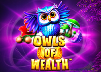 Owls of Wealth