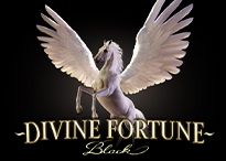 Divine Fortune Black
