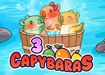 3 Capybaras