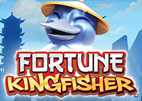 Fortune Kingfisher